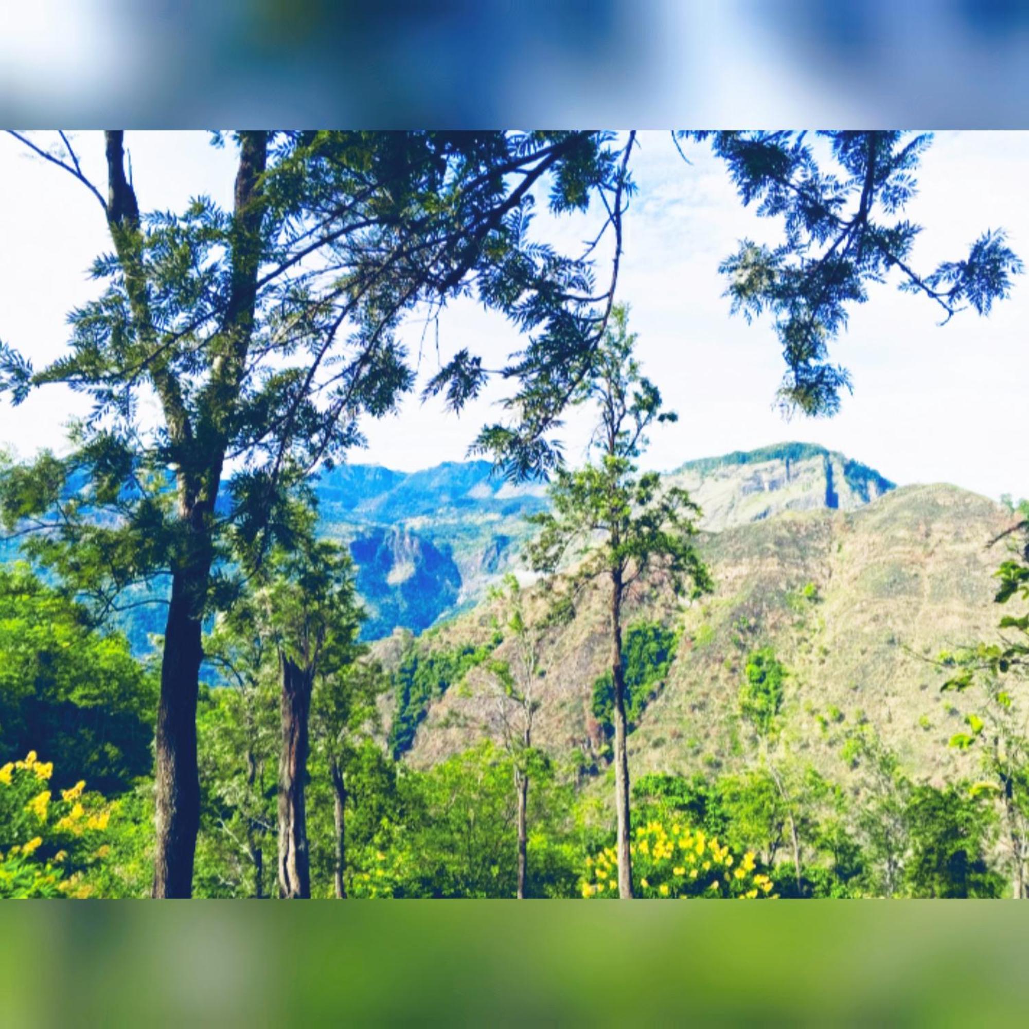 H3 Hilltop Heaven Ella Esterno foto
