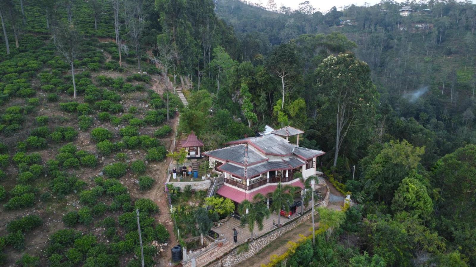 H3 Hilltop Heaven Ella Esterno foto